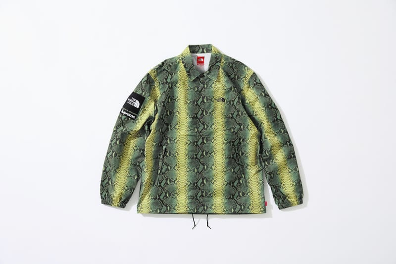 Supreme the north face snakeskin clearance taped seam coaches jacket green