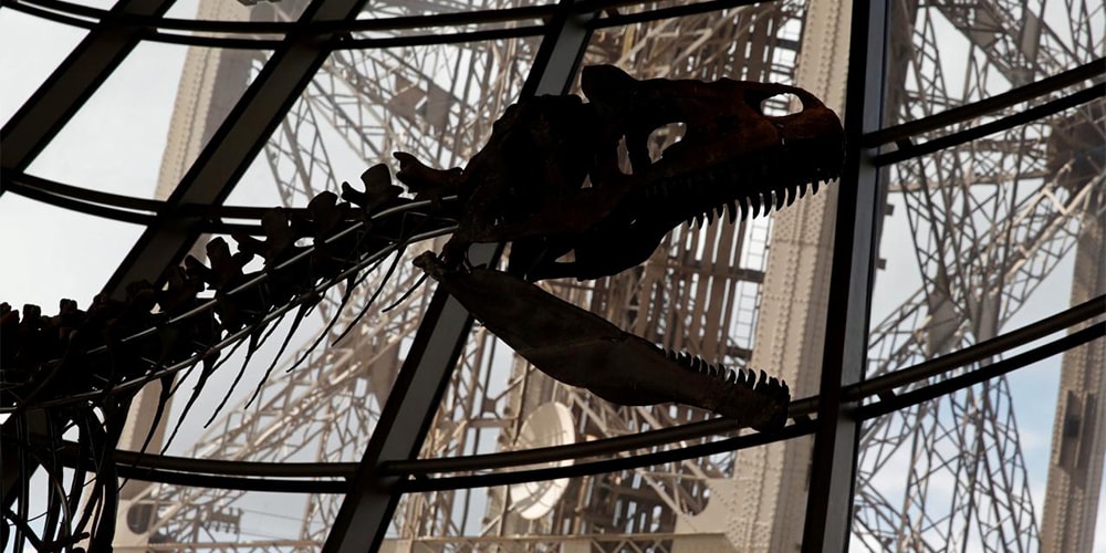 Скелет загадочного динозавра продан за 2,3 миллиона долларов США