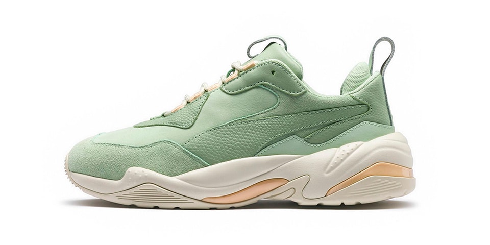puma thunder desert fit