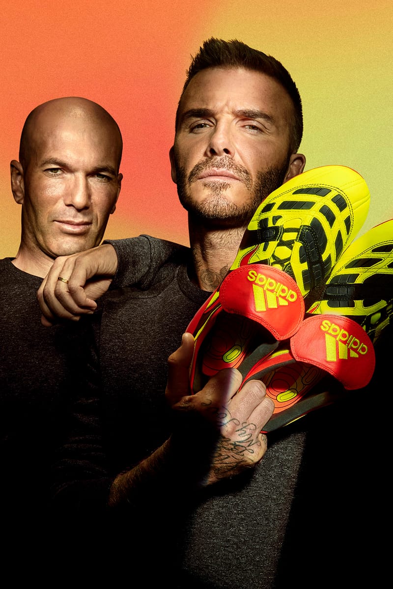 Zidane store predator accelerator