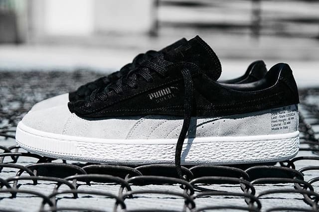 Puma 88 2025