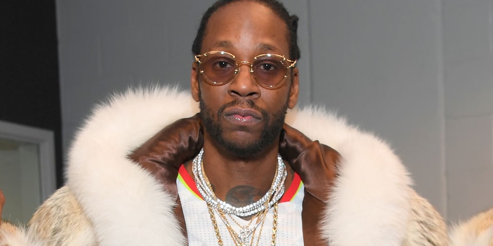 Watch 2 Chainz Play With $165,000 Kittens | Hypebeast