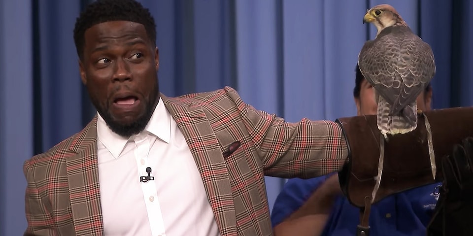 Kevin Hart Jimmy Fallon Animals