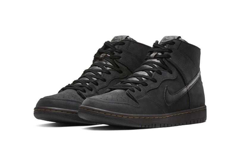 Nike zoom cheap dunk high pro