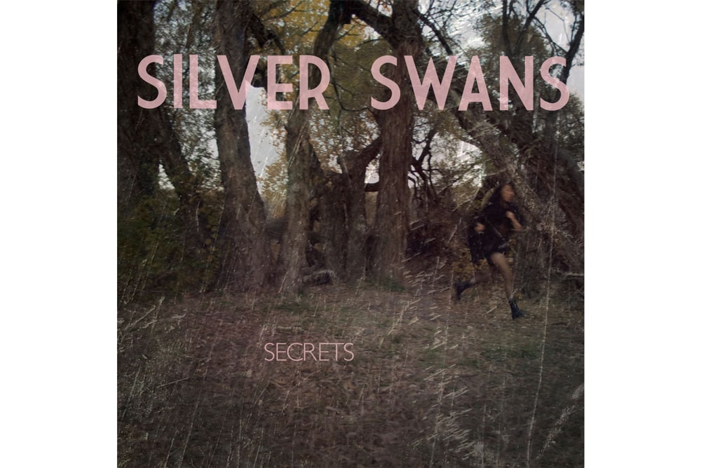 Silver Swans Hypebeast Silver Swans Hypebeast