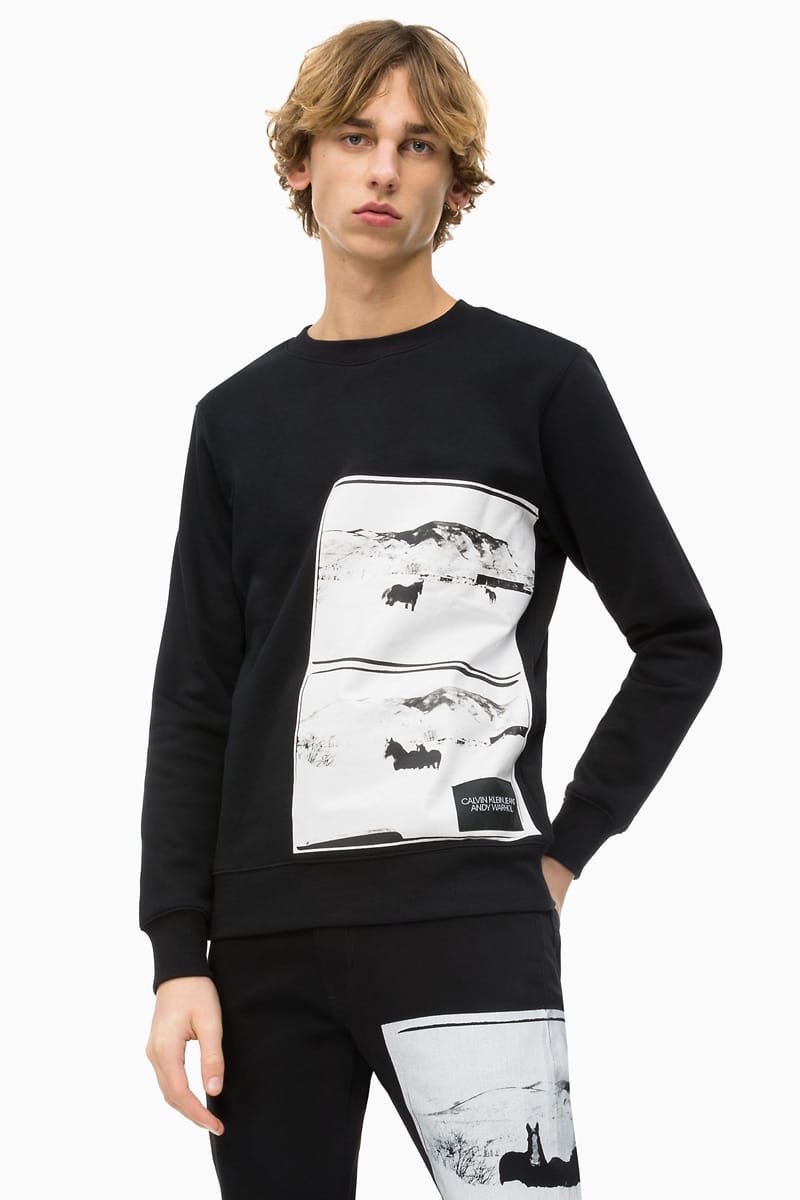 Calvin klein andy online warhol sweatshirt