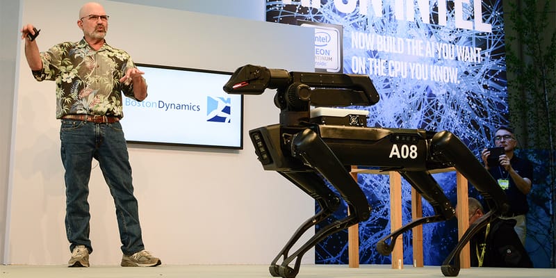 Boston dynamics hot sale robot 2019