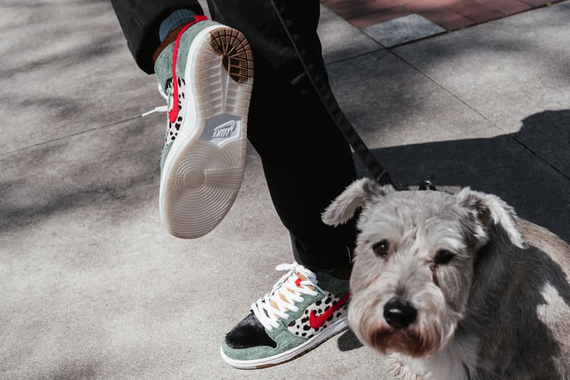 nike sb dunk dog