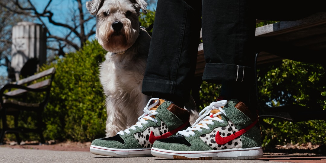 nike sb dunk high walk the dog