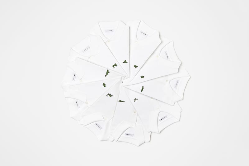 Lacoste species outlet