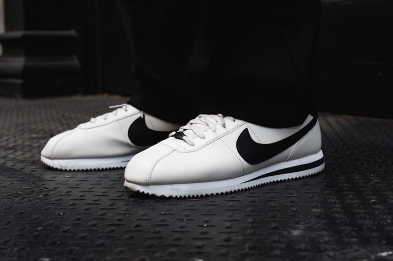 cortez puma cortez puma