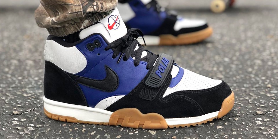 nike sb air trainers