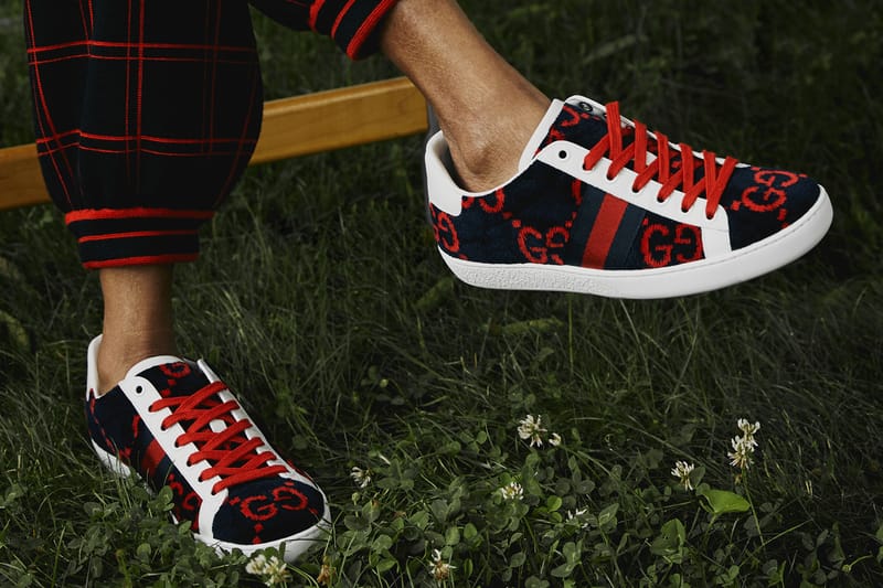 Gucci terry sale cloth sneaker