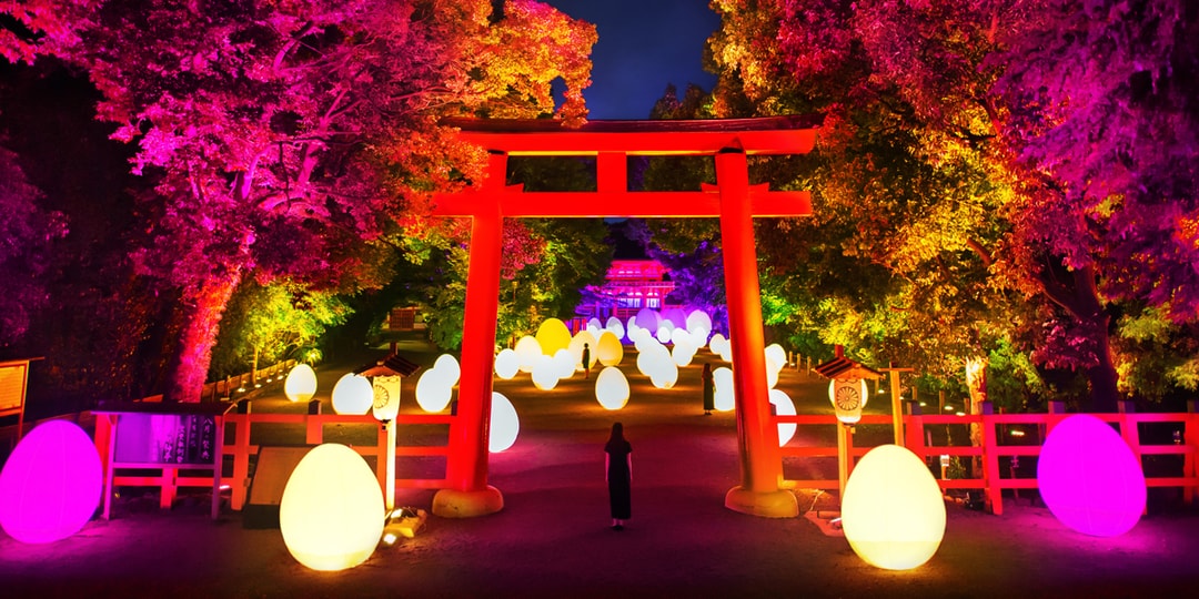 TeamLab вернется в храм Симогамо в Киото с выставкой «Оцифрованный лес»