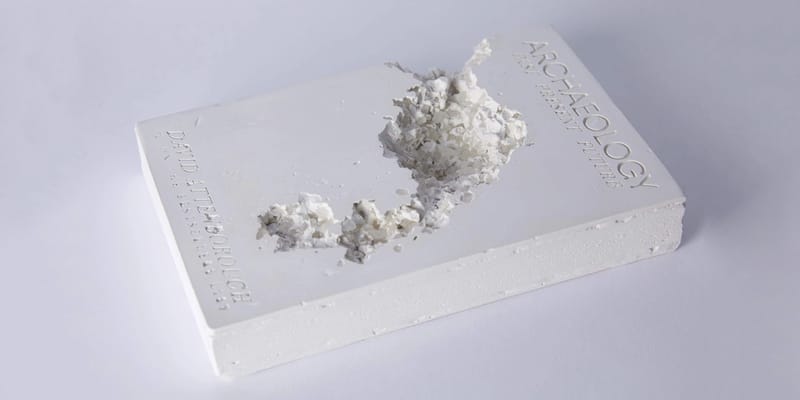 Daniel Arsham x Paddle 8 Future Relic Release | Hypebeast