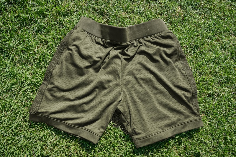 ishod wair nike sb bruin