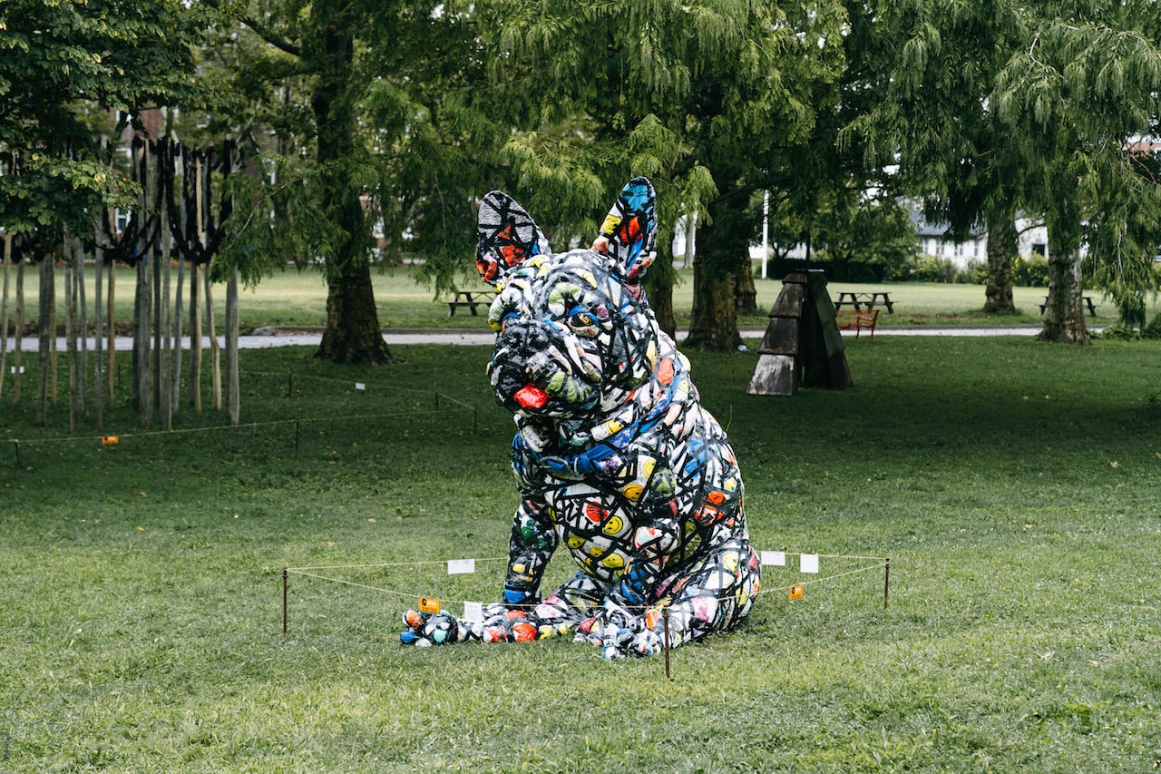 Can Dogs Go To Governors Island