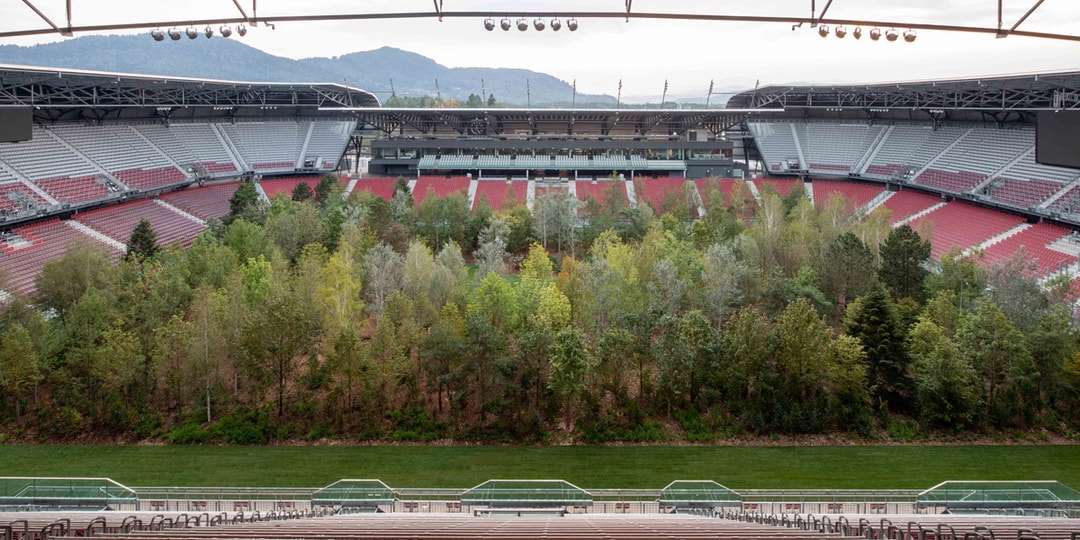 Художник Клаус Литтманн превратил австрийский футбольный стадион в раскидистый лес