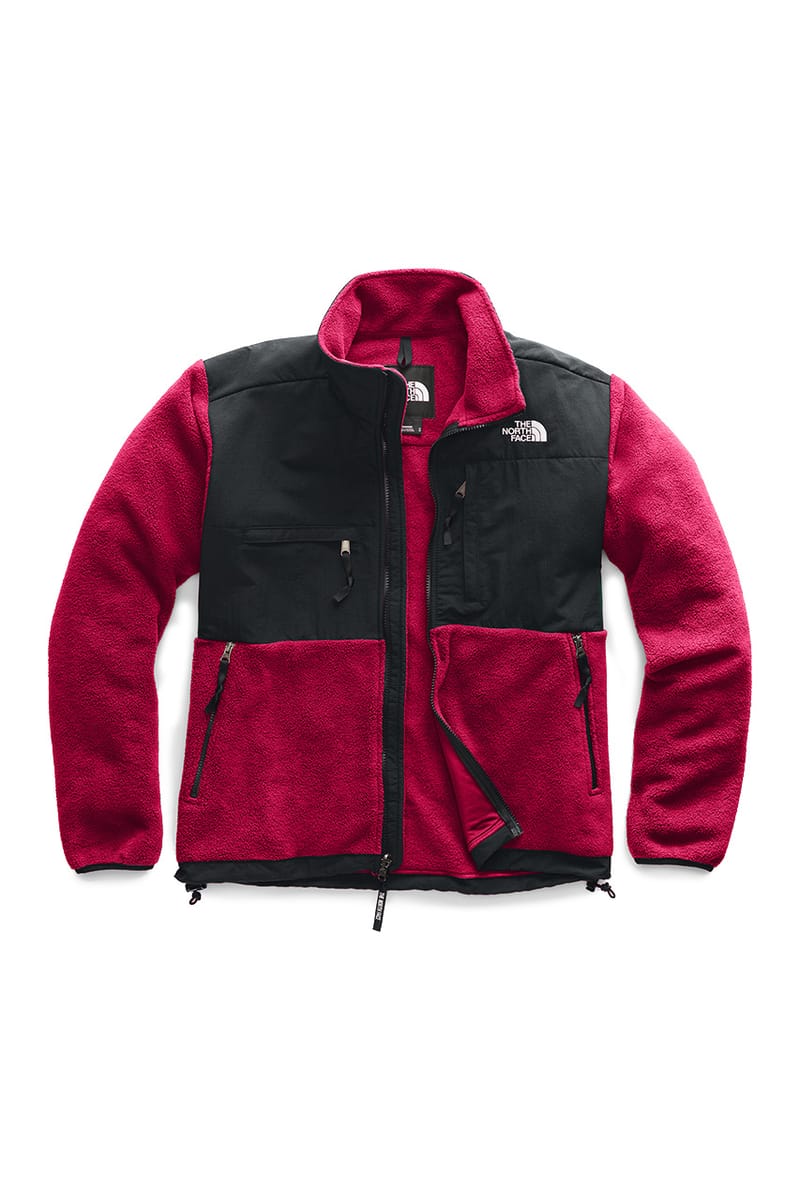 The North Face Icon Series Fall/Winter 2019 | Hypebeast