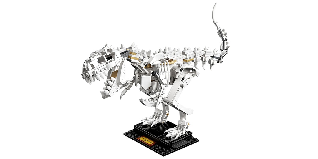 LEGO посещает юрский период с новейшим набором окаменелостей динозавров
