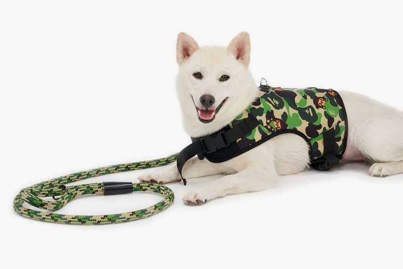 Hypebeast dog outlet accessories