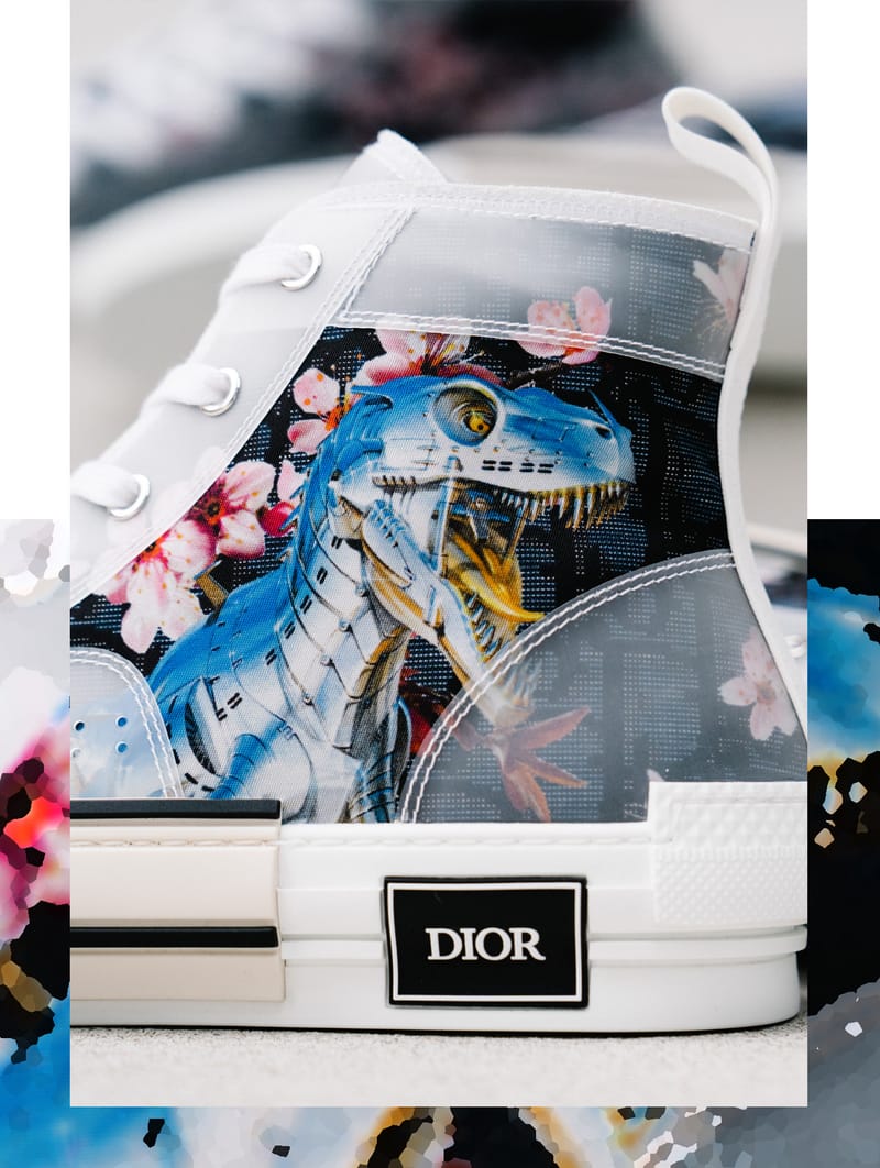 Dior b23 2024 t rex