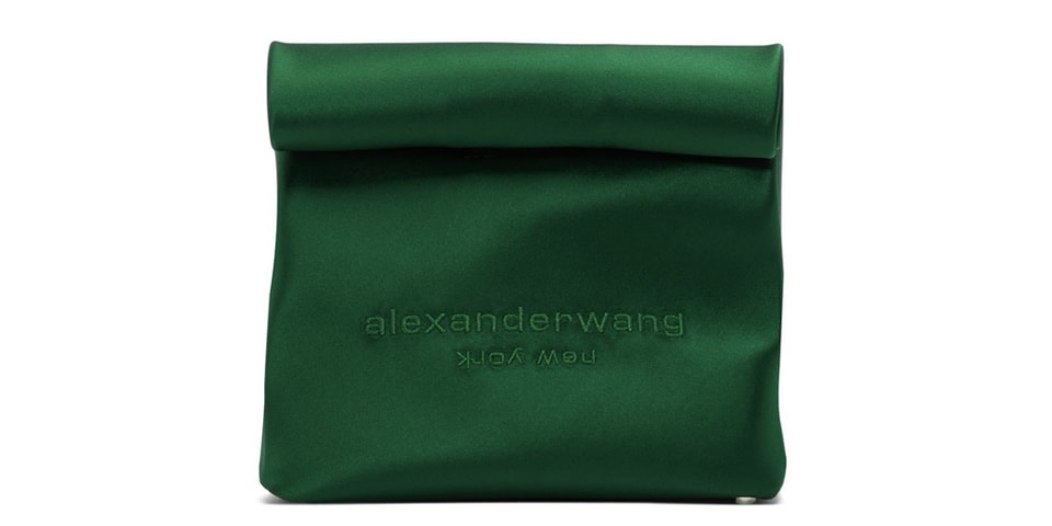 alexander wang lunch box bag