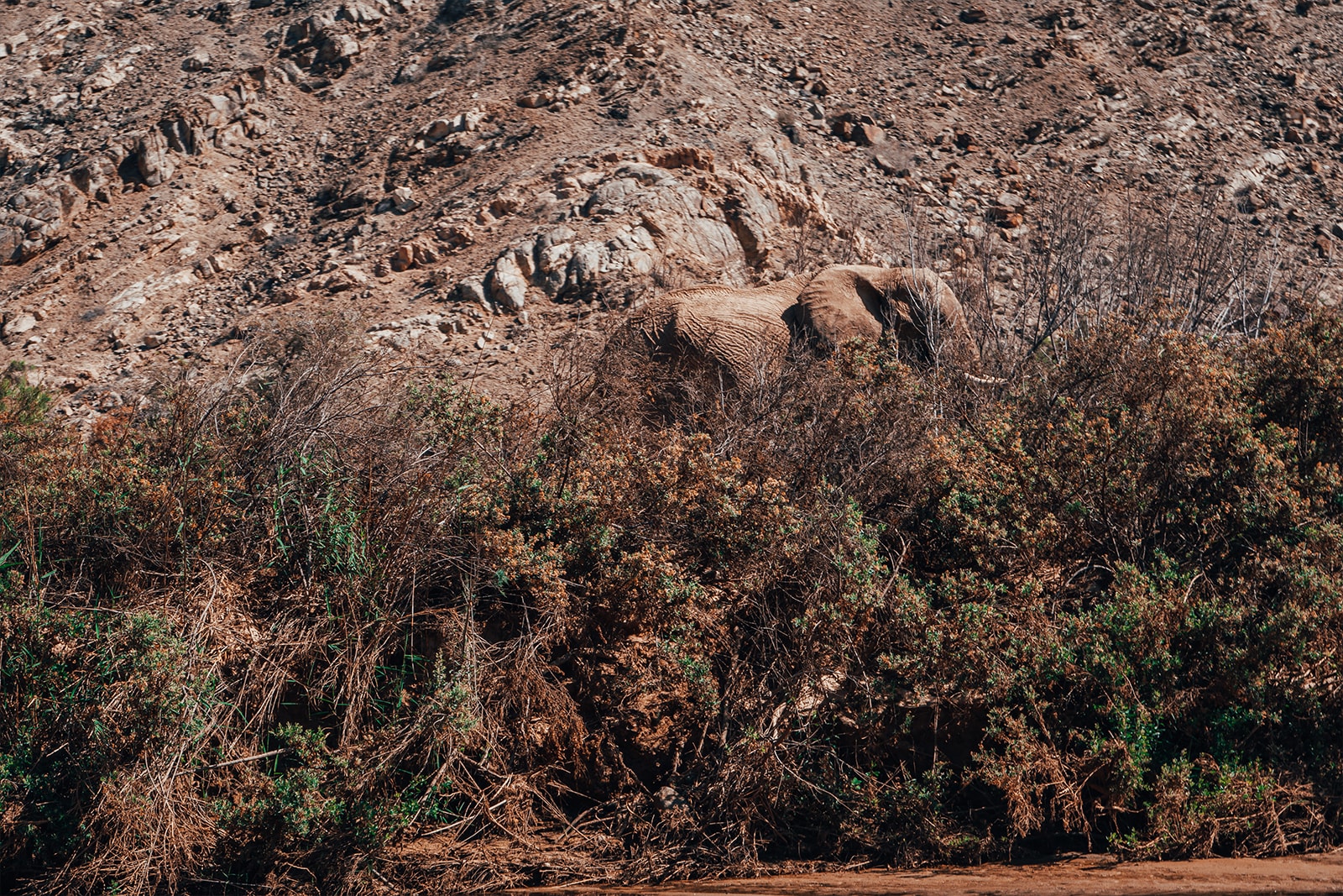 New Land Rover Defender in Namibia | HYPEBEAST