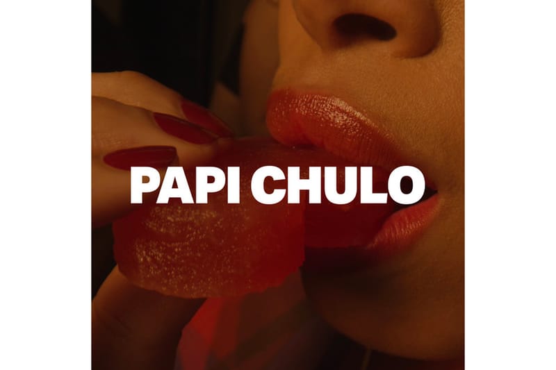 papi papi papi chulo remix song free download