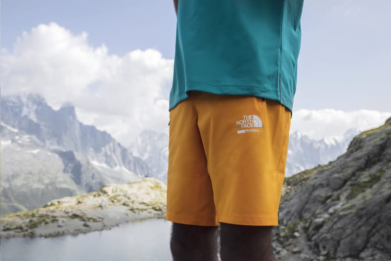 North face glacier discount shorts