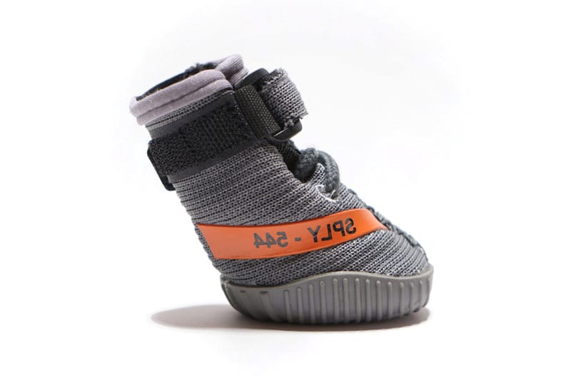 Yeezy deals dog shoes