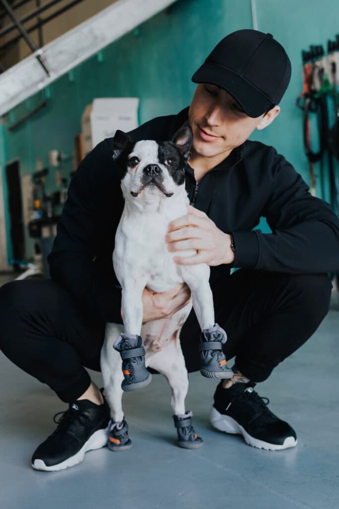 dog with yeezys