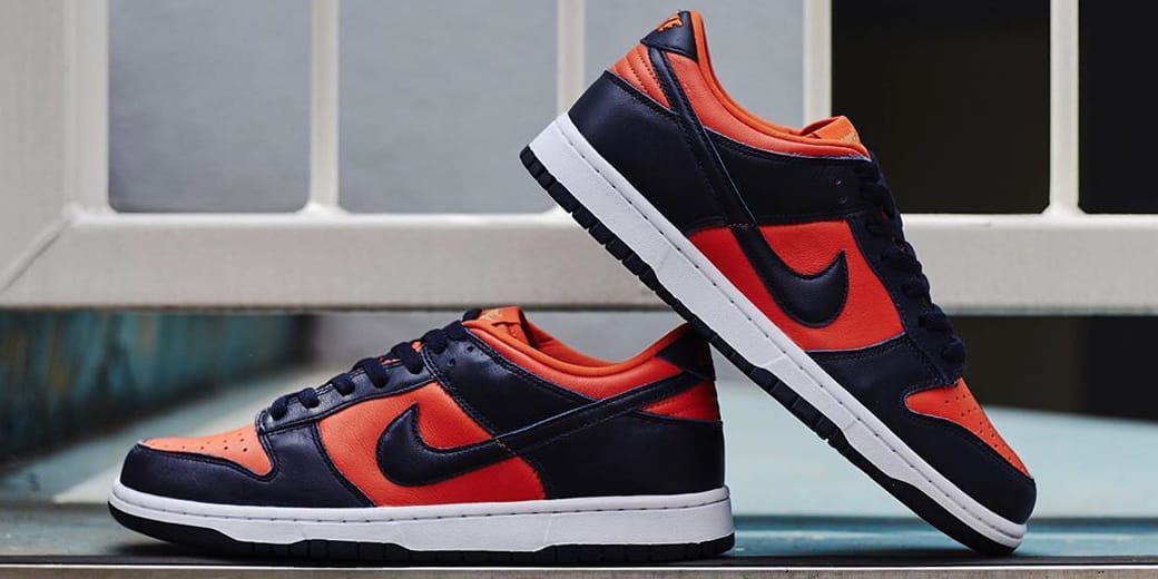 Closer Look at the Nike Dunk Low SP 