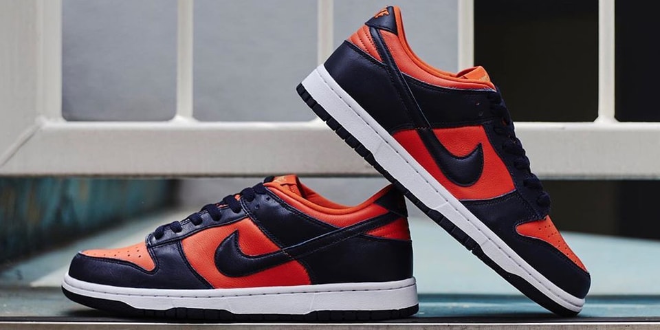 champ colors dunk low