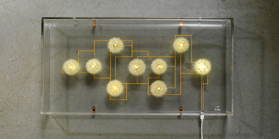 Световая скульптура от DRIFT сделана из настоящих семян одуванчика