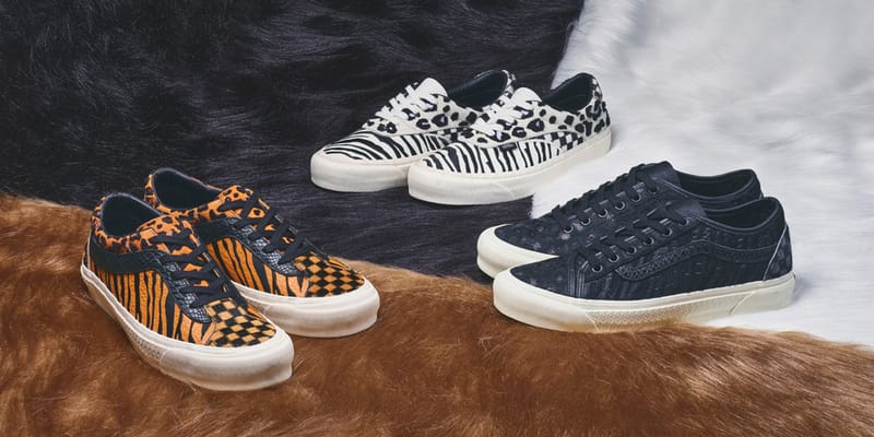 billys-vans-acer-bold-bess-ni-