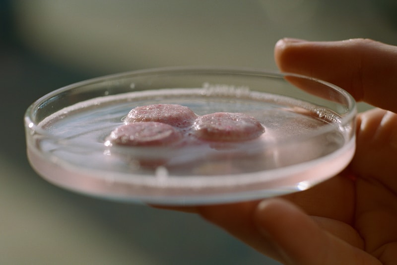 Haeckels Waterless Shower Gel Pills Information Hypebeast