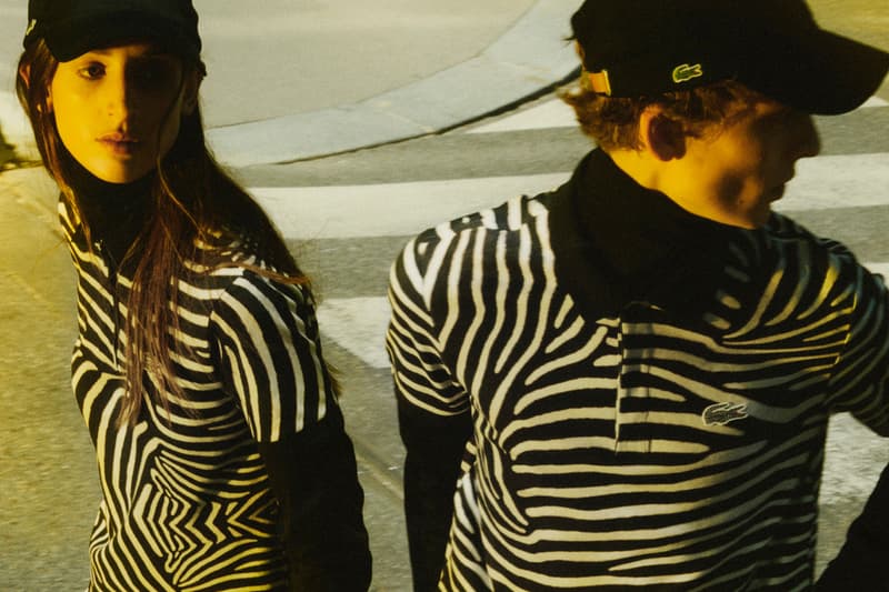 lacoste zebra