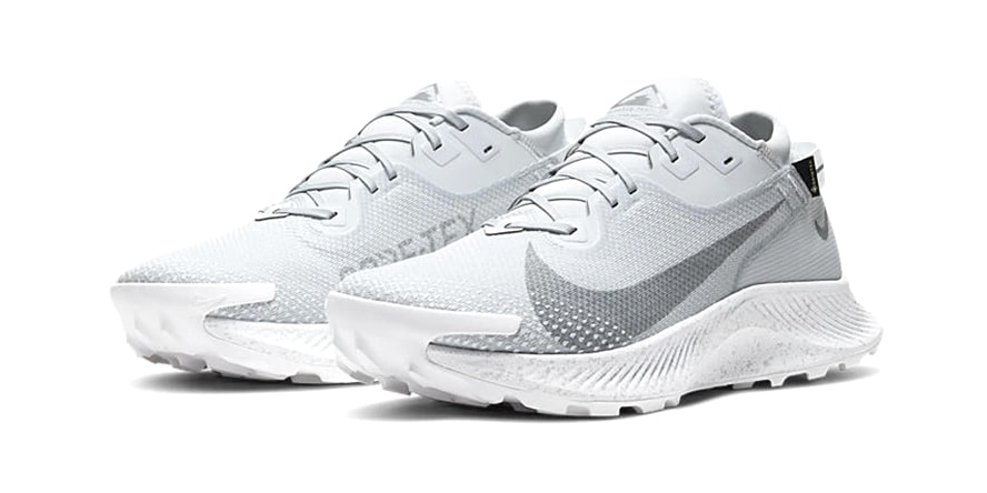 nike pegasus trail 2 gtx platinum