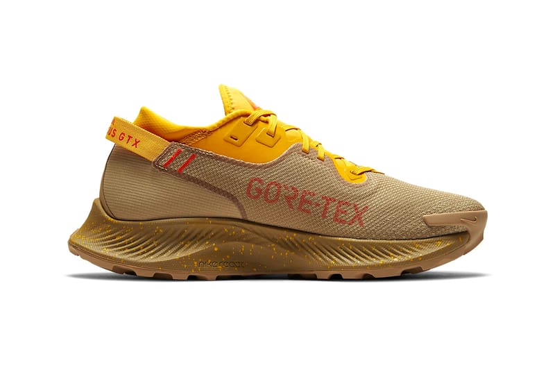 Nike Pegasus Trail 2 GORE-TEX 