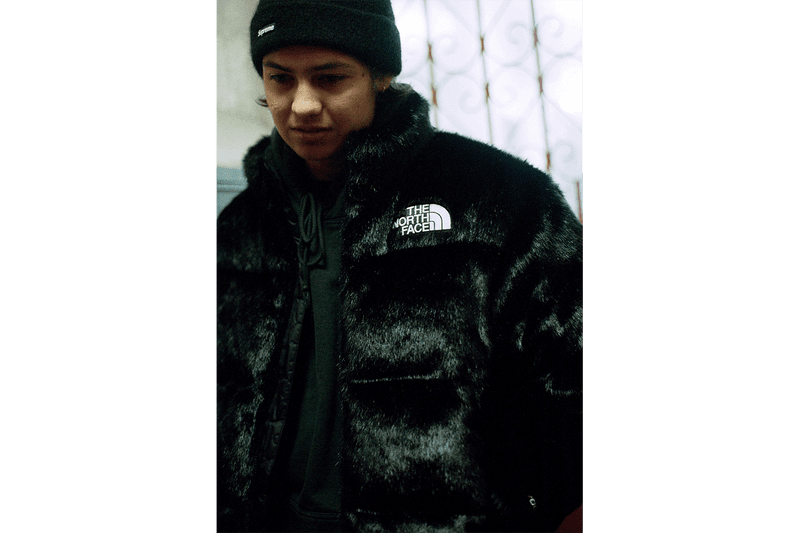 Supreme x The North Face Fall/Winter 2020 Faux Fur Supreme x The North Face Fall/Winter 2020 Faux Fur