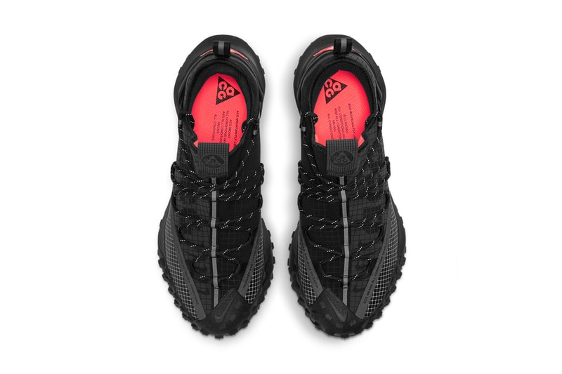 acg mountain fly fossil stone