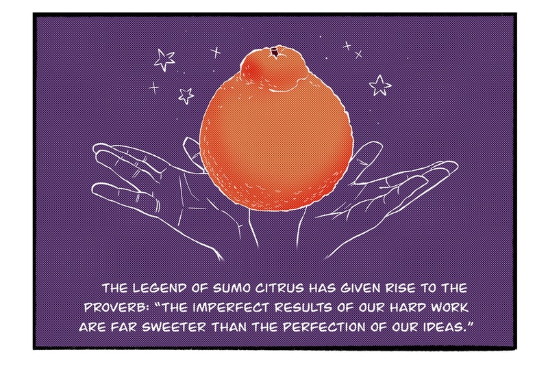 Sumo Citrus Fruit Origin Story Manga Comic | Hypebeast