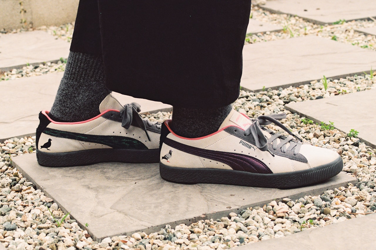 puma pigeon staple