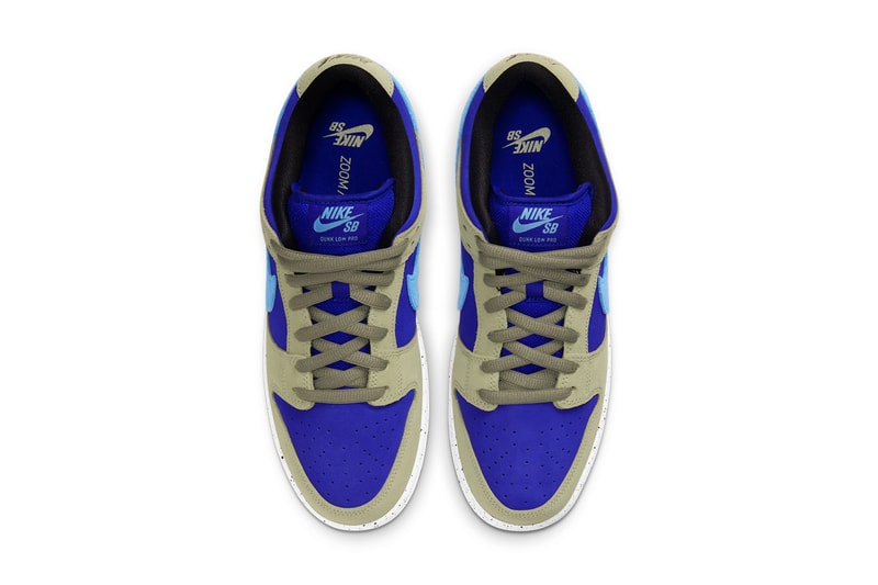 nike dunk low acg