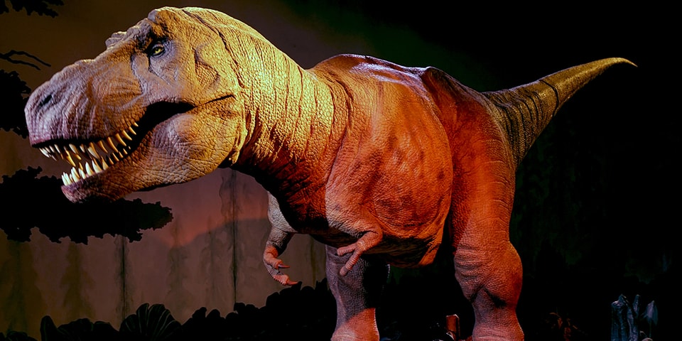 Research reveals 2.5 billion T. Rexes once the earth is inhabited