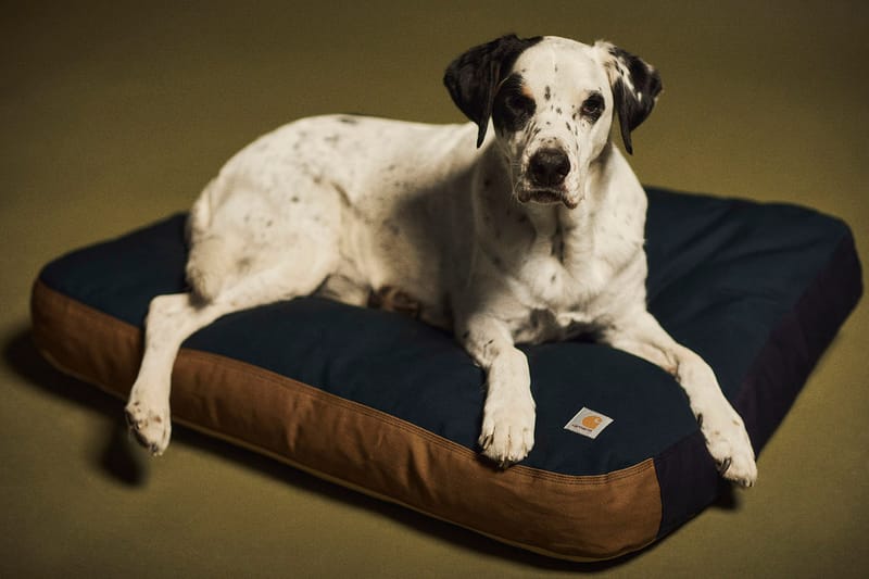 Large carhartt dog bed sale