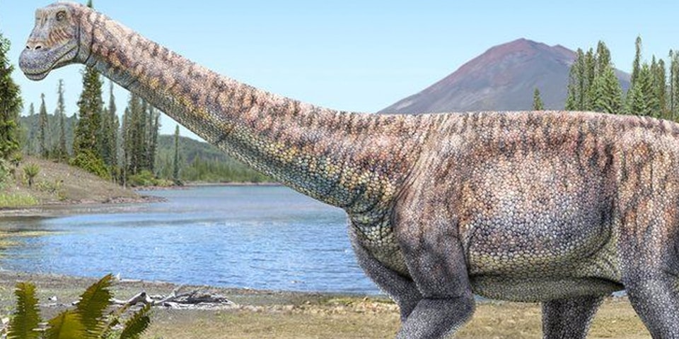 Chilean scientists are discovering new species of dinosaurs
