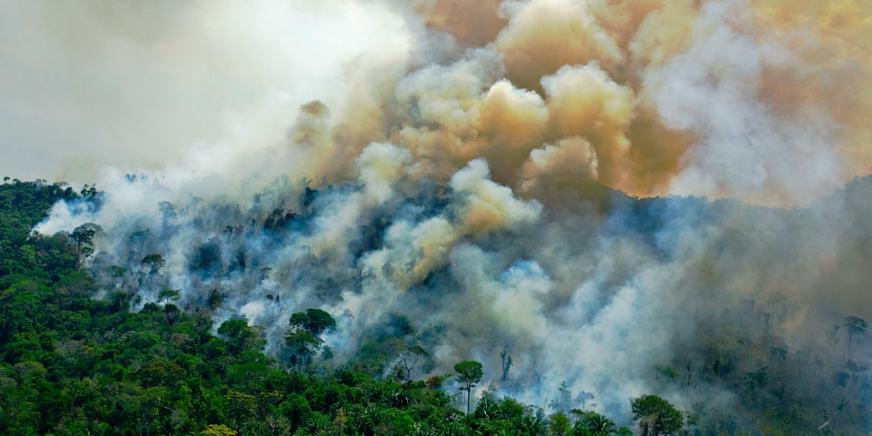 Humans Have Destroyed 97% Of Earth's Ecosystem | HYPEBEAST