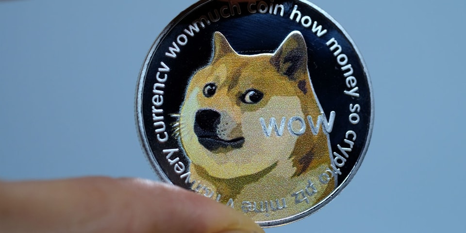 Dogecoin's All-Time High Surge Crashes Robinhood | Hypebeast